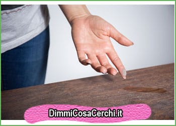 Dove si nascondono gli acari della polvere