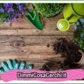 Giardino di casa, ecco come curarlo in ogni stagione