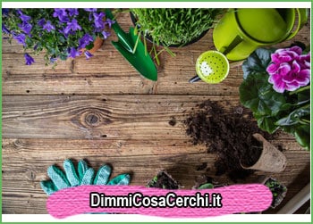 Giardino di casa, ecco come curarlo in ogni stagione