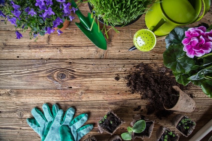 Giardino di casa, ecco come curarlo in ogni stagione