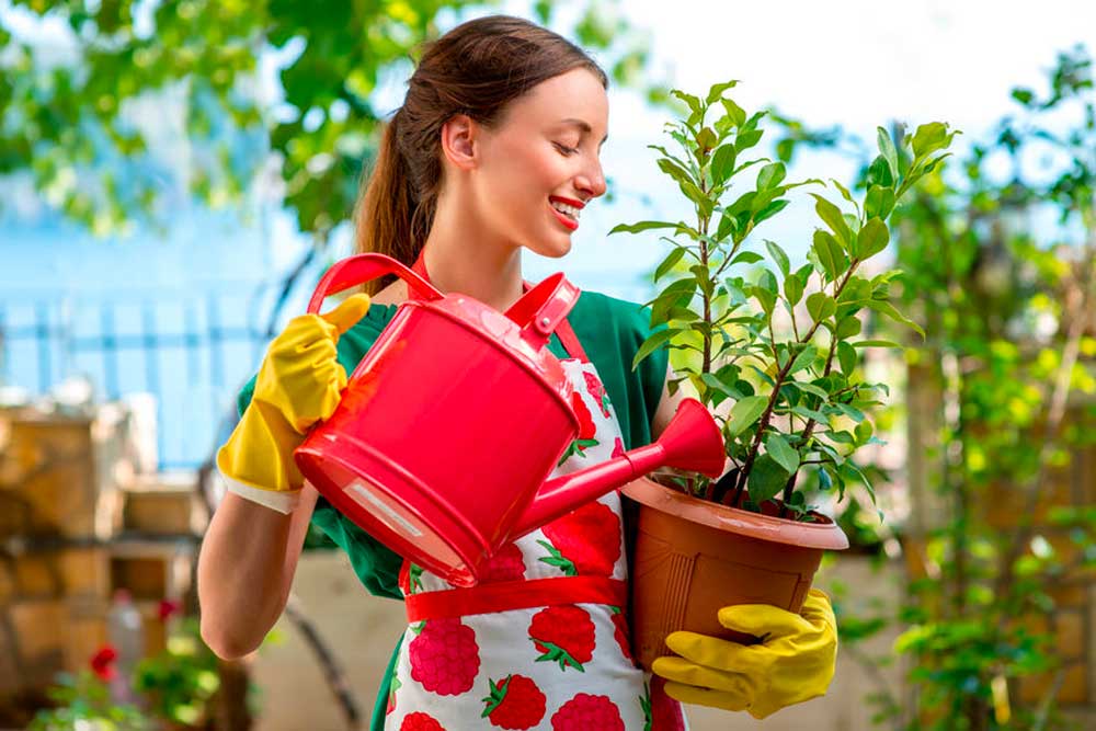 Come innaffiare le piante di casa quando si è in vacanza