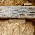 Tarlo del legno: come eliminarlo
