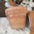 Come pulire i vasi di terracotta