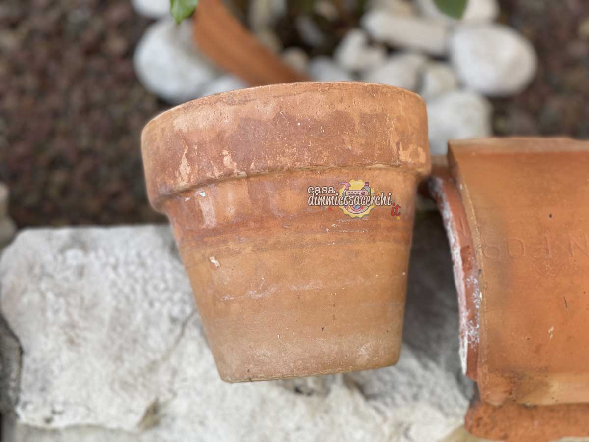 Come pulire i vasi di terracotta