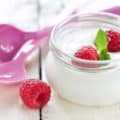 Migliori yogurtiere